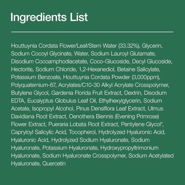 Anua Heartleaf Quercetinol Pore Deep Cleansing Foam 150ml