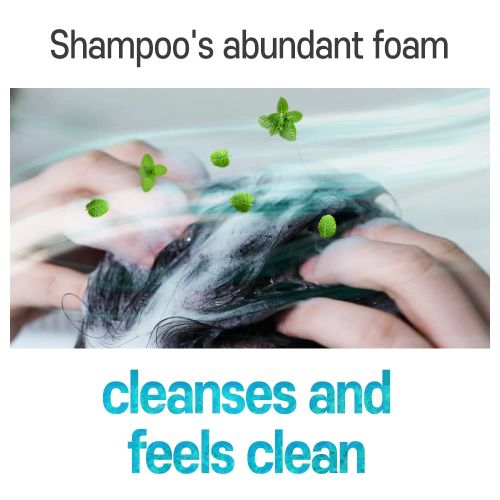 Elizavecca CER-100 Collagen Coating Hair Muscle Shampoo